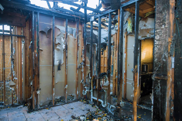 Professional Fire Damage Removal technician working in Frostproof, FL